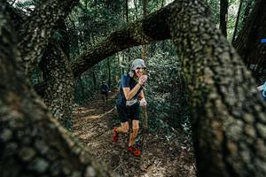 BIB: 
                            <button type="button" onclick="openModal(25391849)" class="btn btn-primary btn-sm float-right btn-popup" data-toggle="modal" data-target=".modal-high-quality">
                        <i class="fas fa-shopping-cart"></i> Add to Cart
                    </button>
                                            <button type="button" onclick="isThisMe(25391849, true)" class="btn btn-success btn-sm float-right btn-popup btn-isme hidden" data-toggle="tooltip" data-placement="bottom" title="นี่คือรูปของคุณใช่ไหม คลิกที่นี่เพื่อเอาเข้าอัลบั้ม">
                        <i class="fas fa-plus"></i> Add to album
                    </button>
                    <button type="button" onclick="isThisMe(25391849, false)" class="btn btn-warning btn-sm float-right btn-popup btn-isnotme hidden">
                        <i class="fas fa-ban"></i> Remove from album
                    </button>